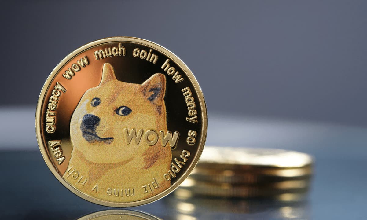 Robinhood CEO Explains How Dogecoin Can Become the People's Future Currency