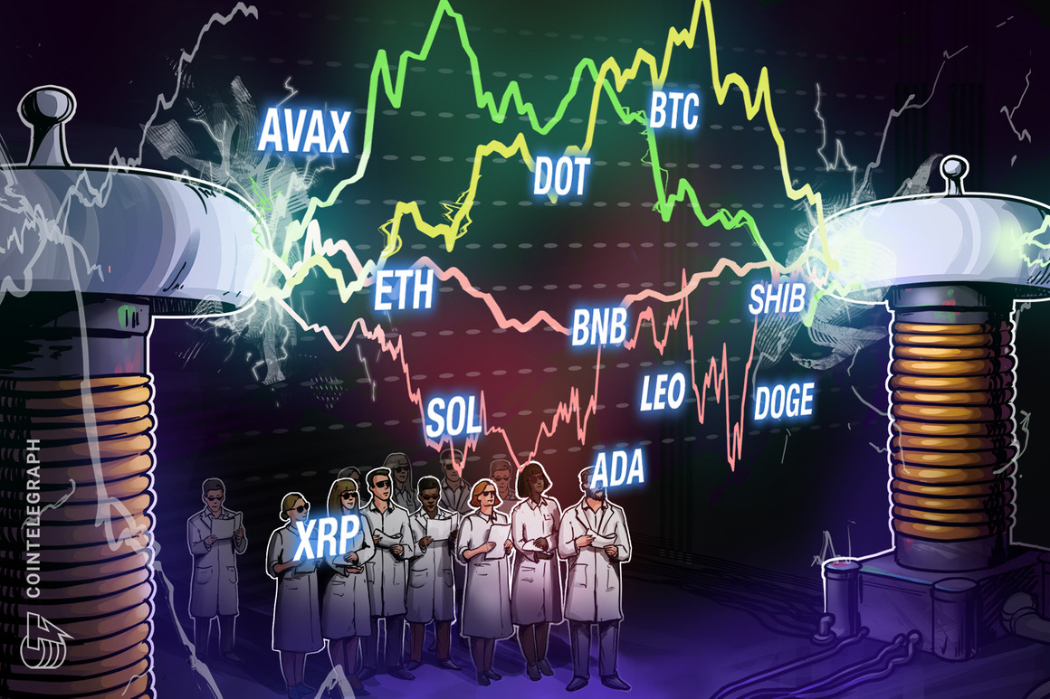 BTC, ETH, BNB, XRP, ADA, SOL, DOGE, DOT, LEO, SHIB