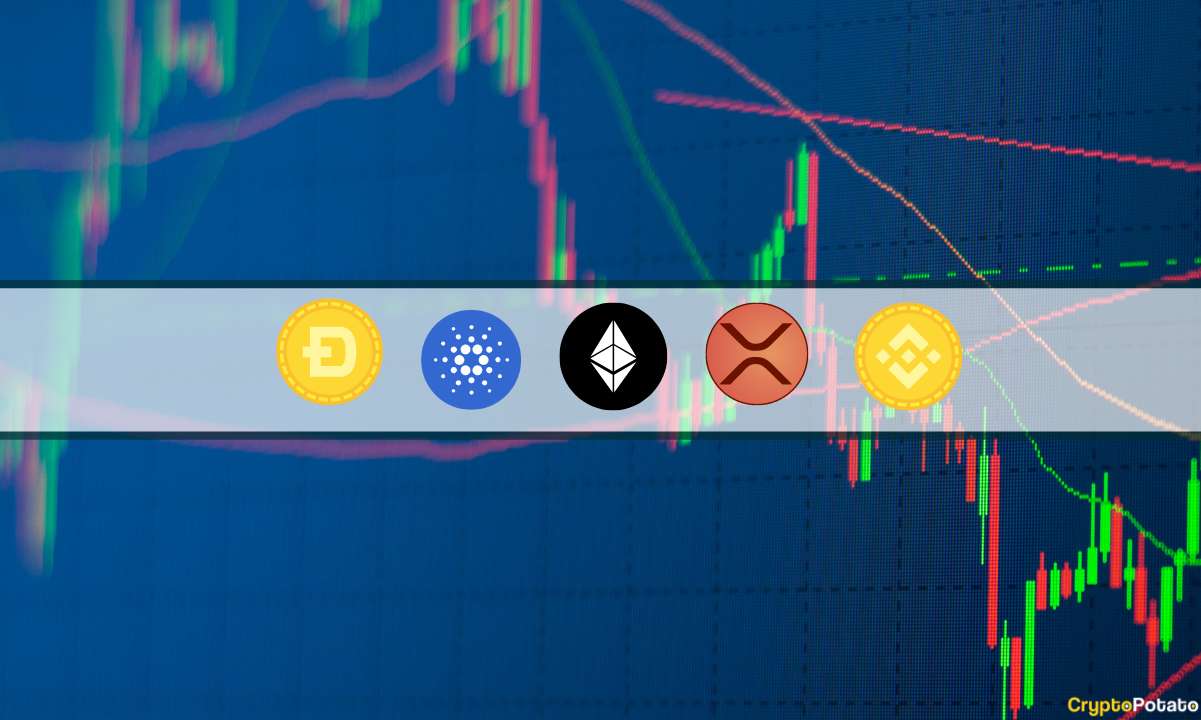 ETH, XRP, ADA, BNB, and DOGE