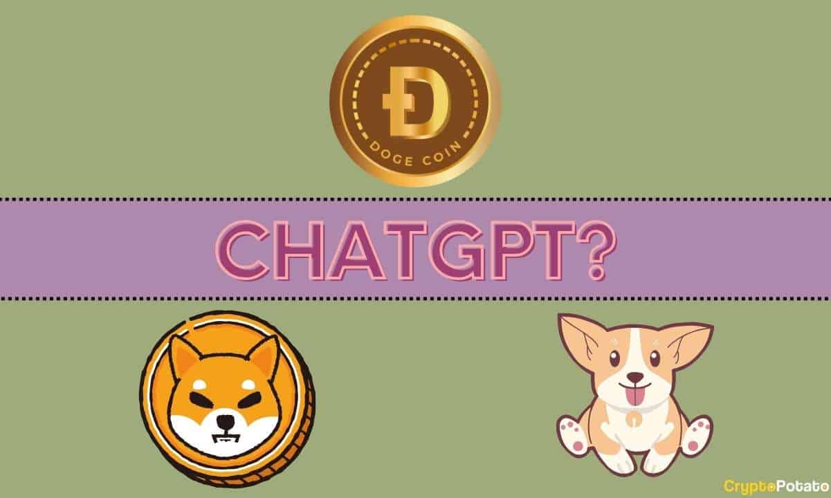 We Asked ChatGPT Which Will be the Biggest Meme Coin in 2024? BONK, SHIB, DOGE, or Something Else?